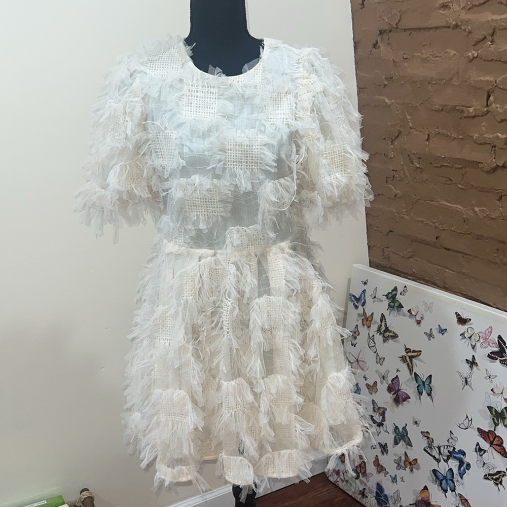 Endless mesh feather puff sleeve mini dress size small color cream
